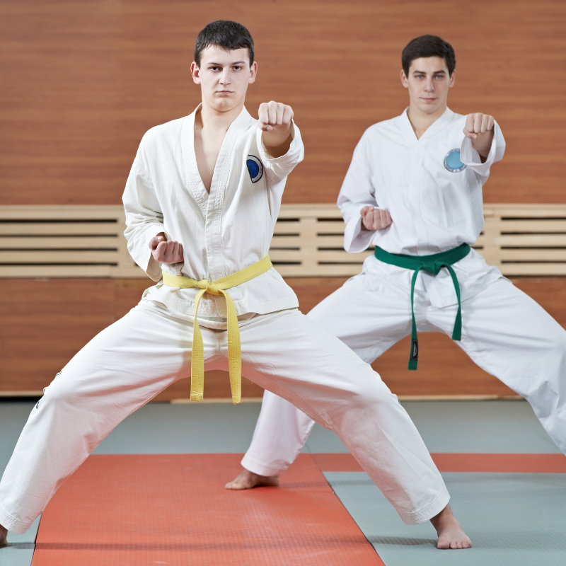 Taekwondo <br>